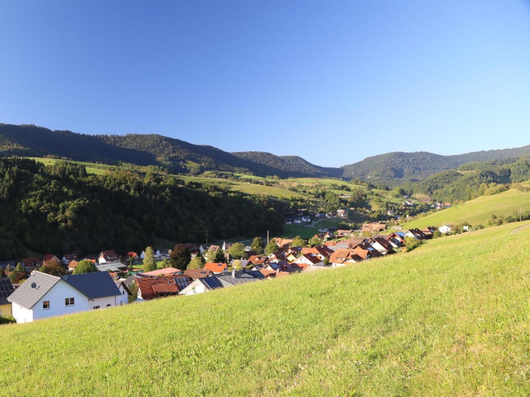 Appartement Schwarzwaldstueble Oberharmersbach Exteriér fotografie