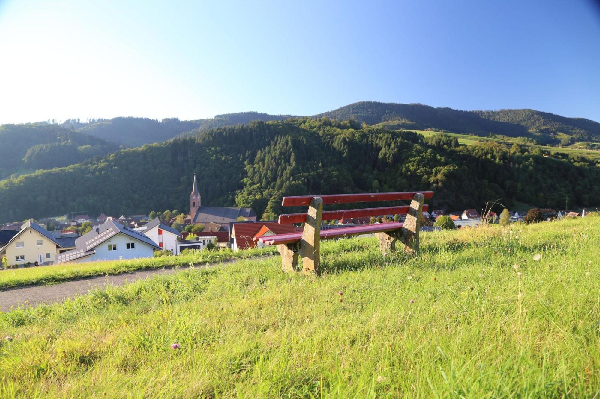 Appartement Schwarzwaldstuble Oberharmersbach Exteriér fotografie